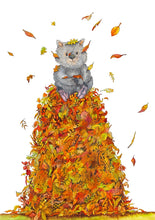 Wombat Scenes - a five greeting card set
