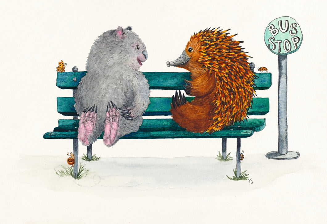 Bus Stop - a wombat and echidna meet