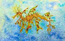 The Leafy Sea dragon has long leaf-like attachments all over its body, making it an example of extremely clever camouflage.