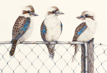 Five Different blank greeting cards of AUSTRALIAN birds