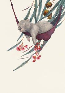 This is a watercolour painting of a thoroughly relaxed and mellow little wombat in its hammock enjoying the gentle breeze and shade of an Australian gum tree.