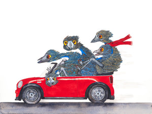 Family Outing - Emus in a Red Mini Convertible