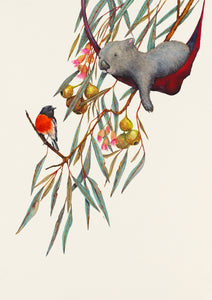 Wombats in Hammocks Greeting Card Set