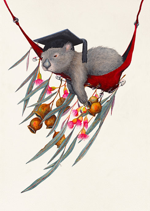 Graduation Siesta - a print of a Watercolour painting of a relaxing wombat