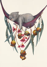 Wombats in Hammocks Greeting Card Set