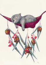 Wombats in Hammocks Greeting Card Set