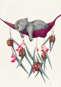 Wombats in Hammocks Greeting Card Set