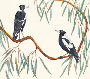 Maggie & Maggie prints of a magpie watercolour painting