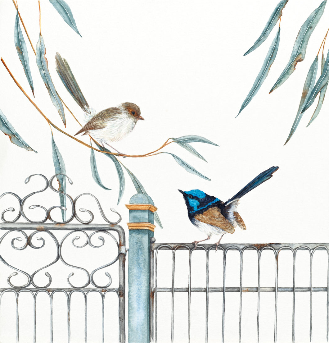 Meet Me at the Gate   a watercolour print of fairy wrens