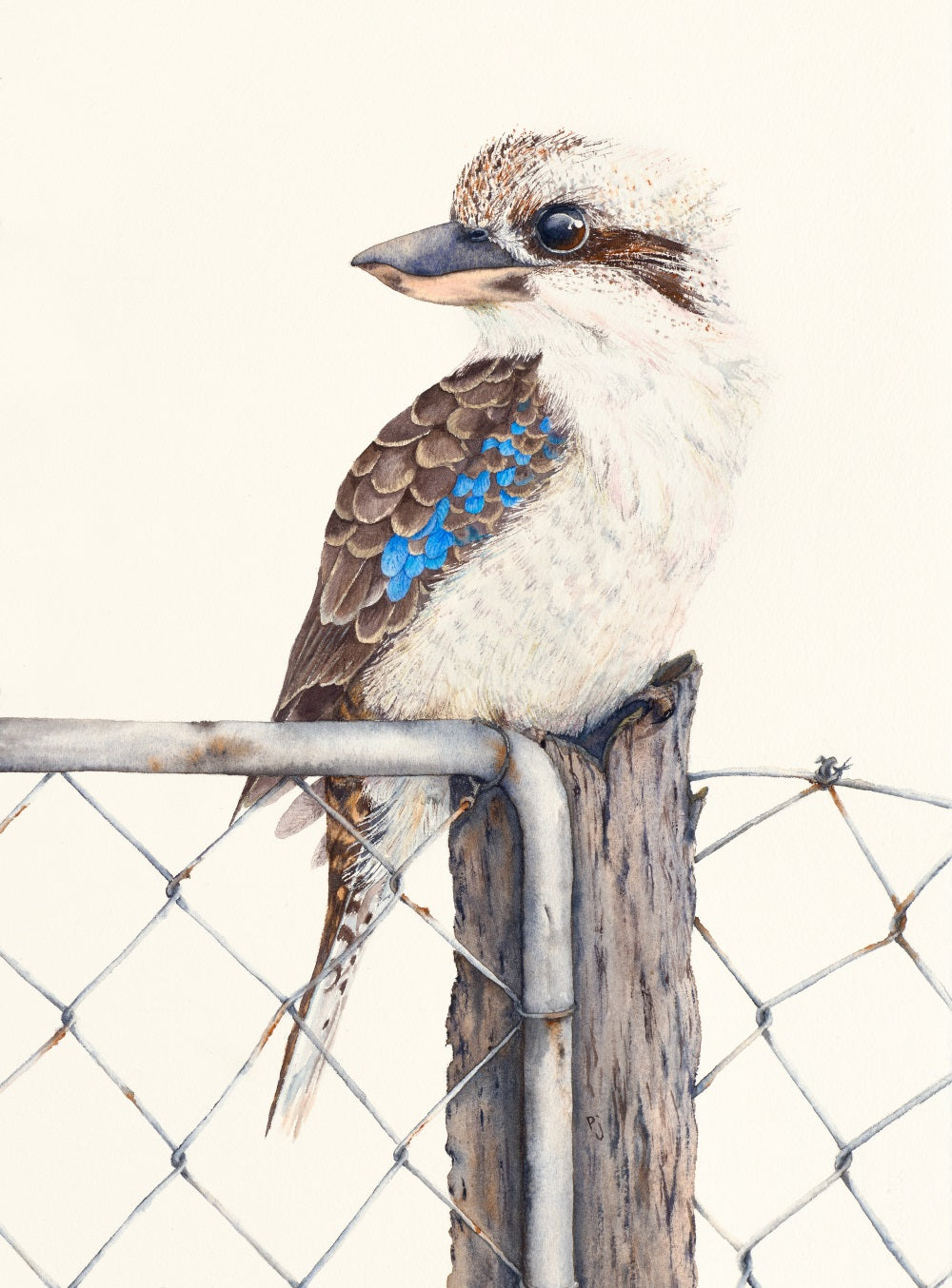 Sitting on the Fence - A print of a watercolour painting of a Kookaburra